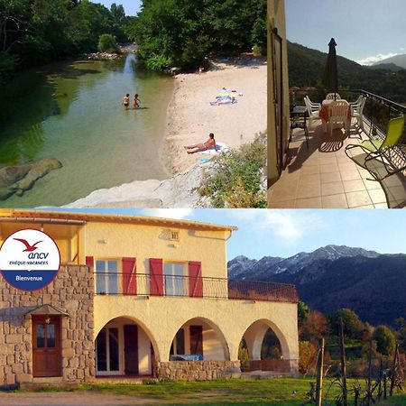 95M2 Au Calme A 25Mn Ajaccio, Plages, Linge Inclus Parking Ok Ucciani Exterior photo
