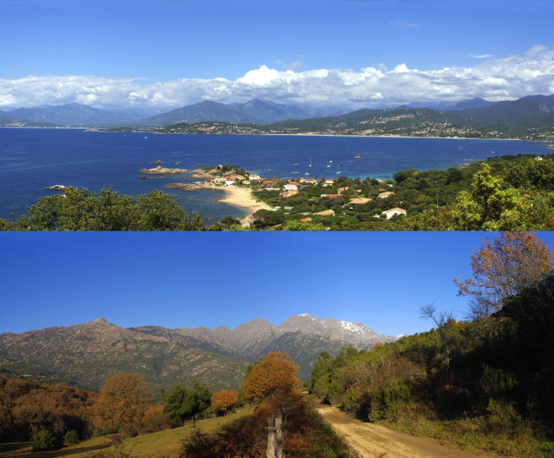 95M2 Au Calme A 25Mn Ajaccio, Plages, Linge Inclus Parking Ok Ucciani Exterior photo