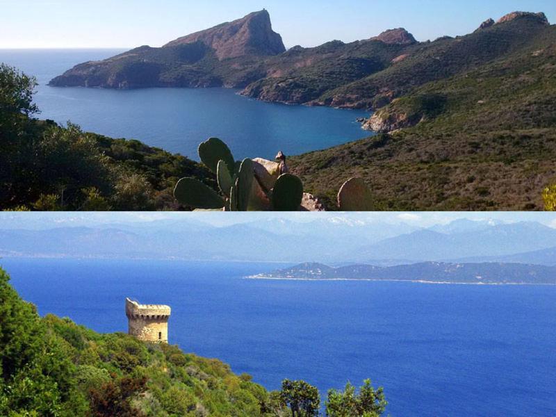 95M2 Au Calme A 25Mn Ajaccio, Plages, Linge Inclus Parking Ok Ucciani Exterior photo